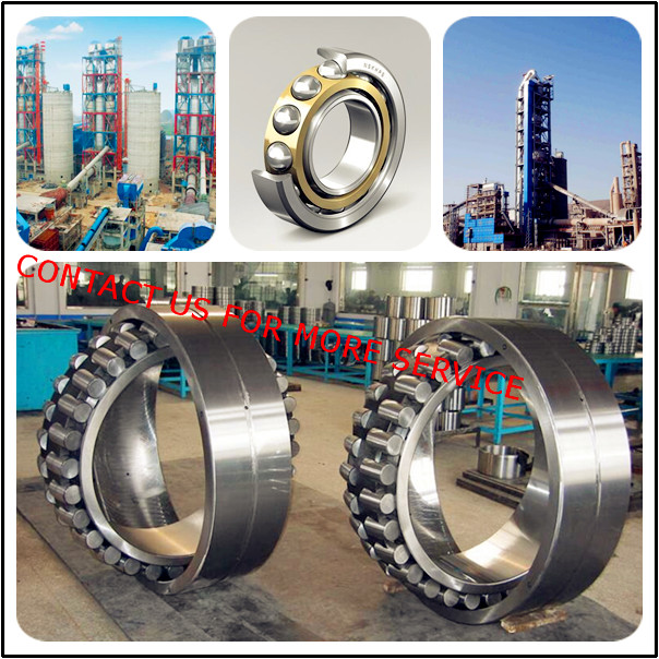 Centrifugal Pump Bearings 1-B-319401