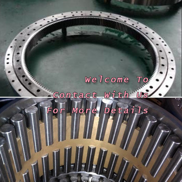 Rotary Table  E228/647.7QU1  Bearing